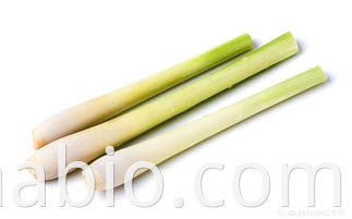 Hot Sale Lemongrass Daily Essence Fragrance Flavor for Candle making